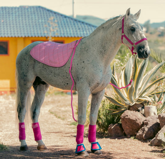 Cómo vendar correctamente las patas de tu caballo (¡sin riesgos!)