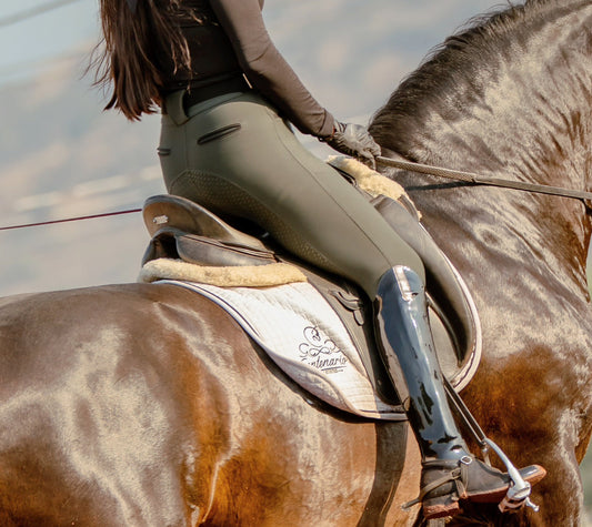 Guía definitiva 2025: Cuidado del Caballo, Salud Equina y Equipo de Equitación | Equinomex