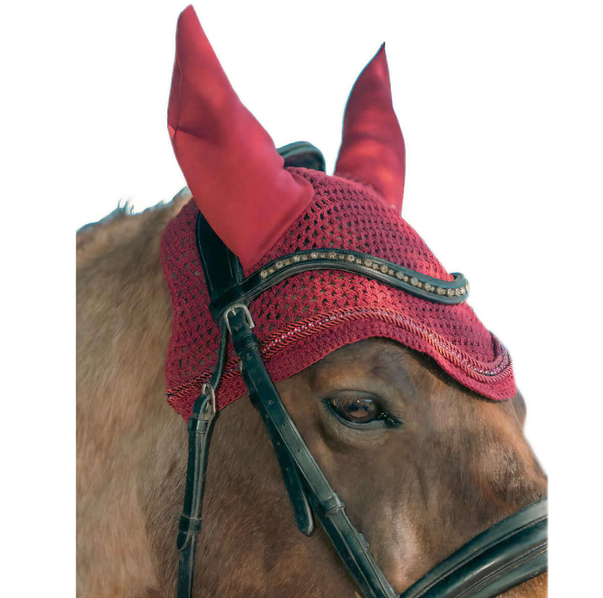 Kit orejeras y vendas borgoña – Protección y Estilo para Caballo