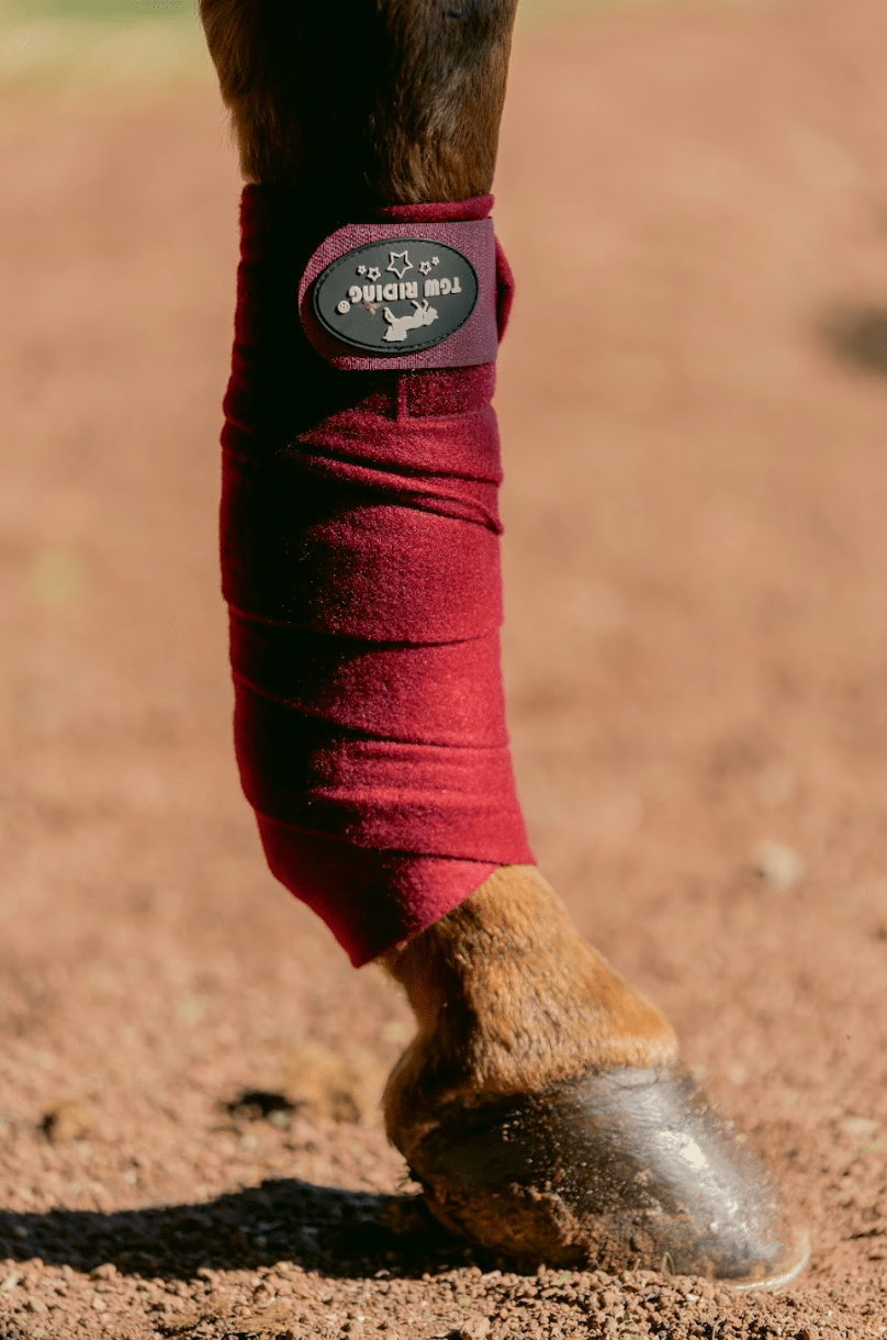Kit orejeras y vendas borgoña – Protección y Estilo para Caballo