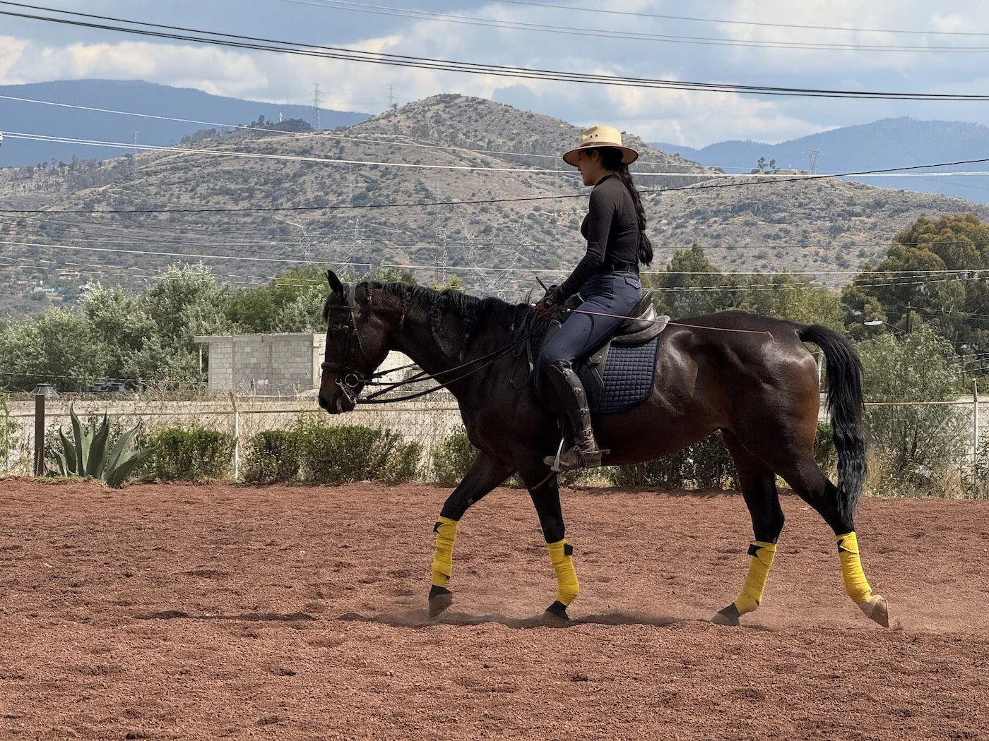 Hanna en movimiento, perfil