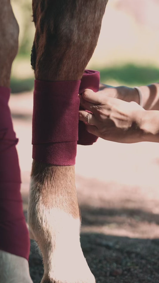 Kit orejeras y vendas borgoña – Protección y Estilo para Caballo